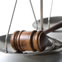 Attorneys